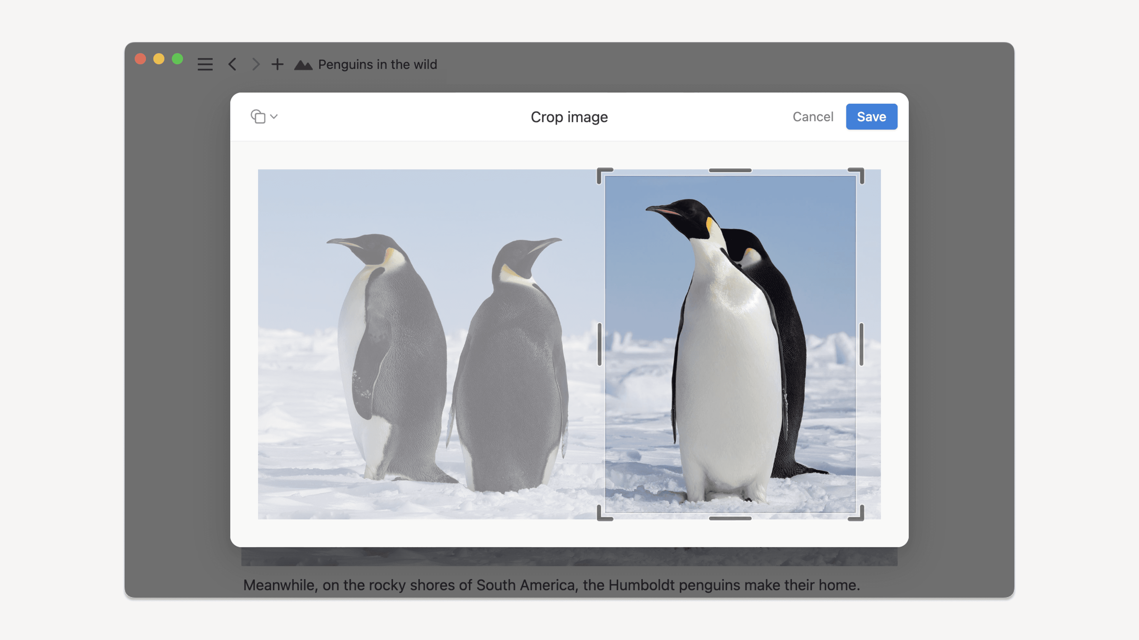 画像のトリミング