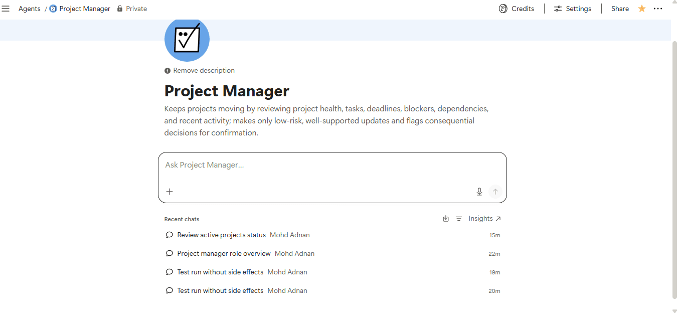 Project Manager