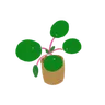 Grassdener的个人资料图片