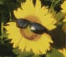 Profile picture of Sagar