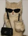 Profile picture of caffeinated.coder