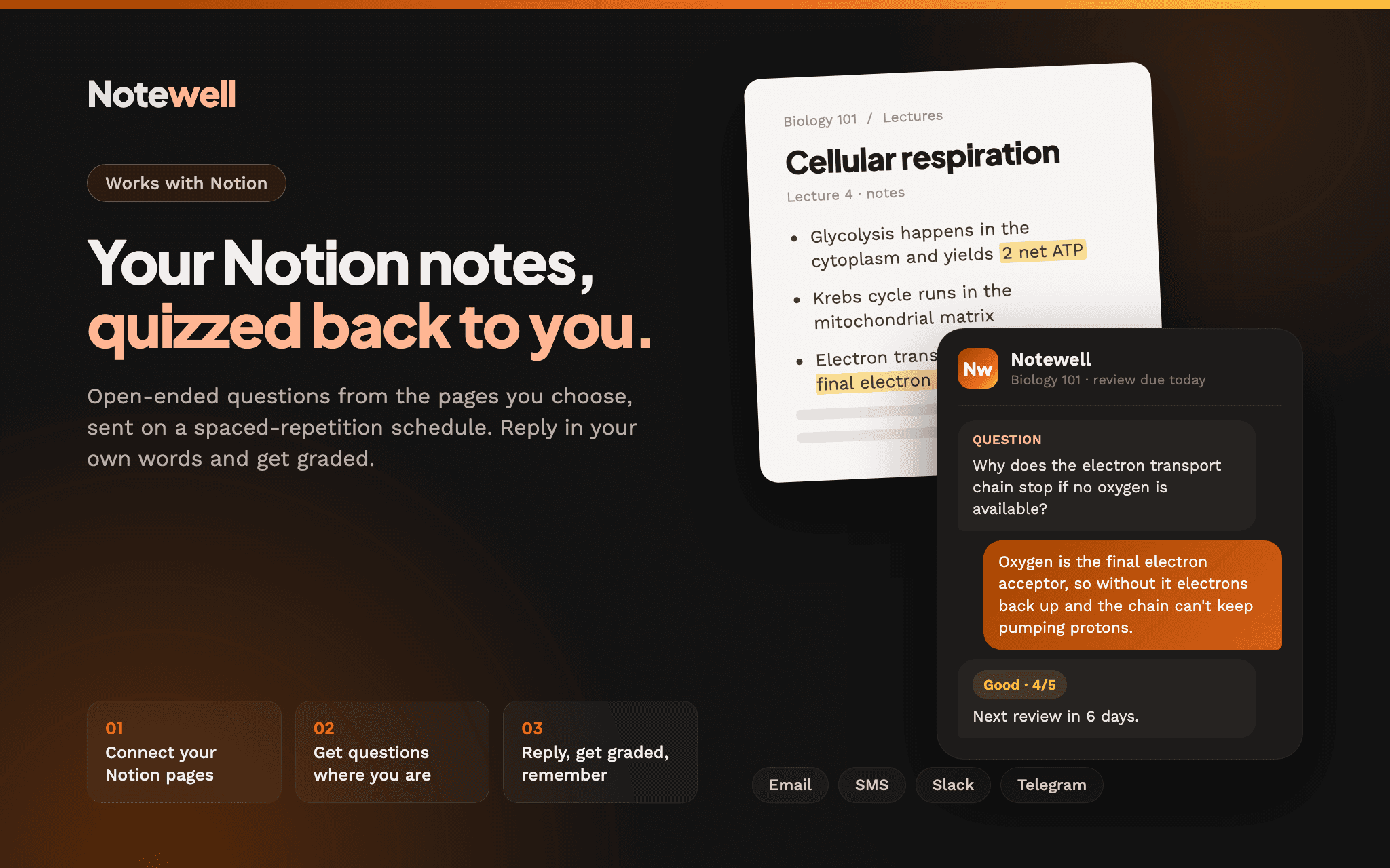 Your Notion notes, quizzed back to you on a spaced-repetition schedule.