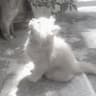 Profile picture of Flora <3