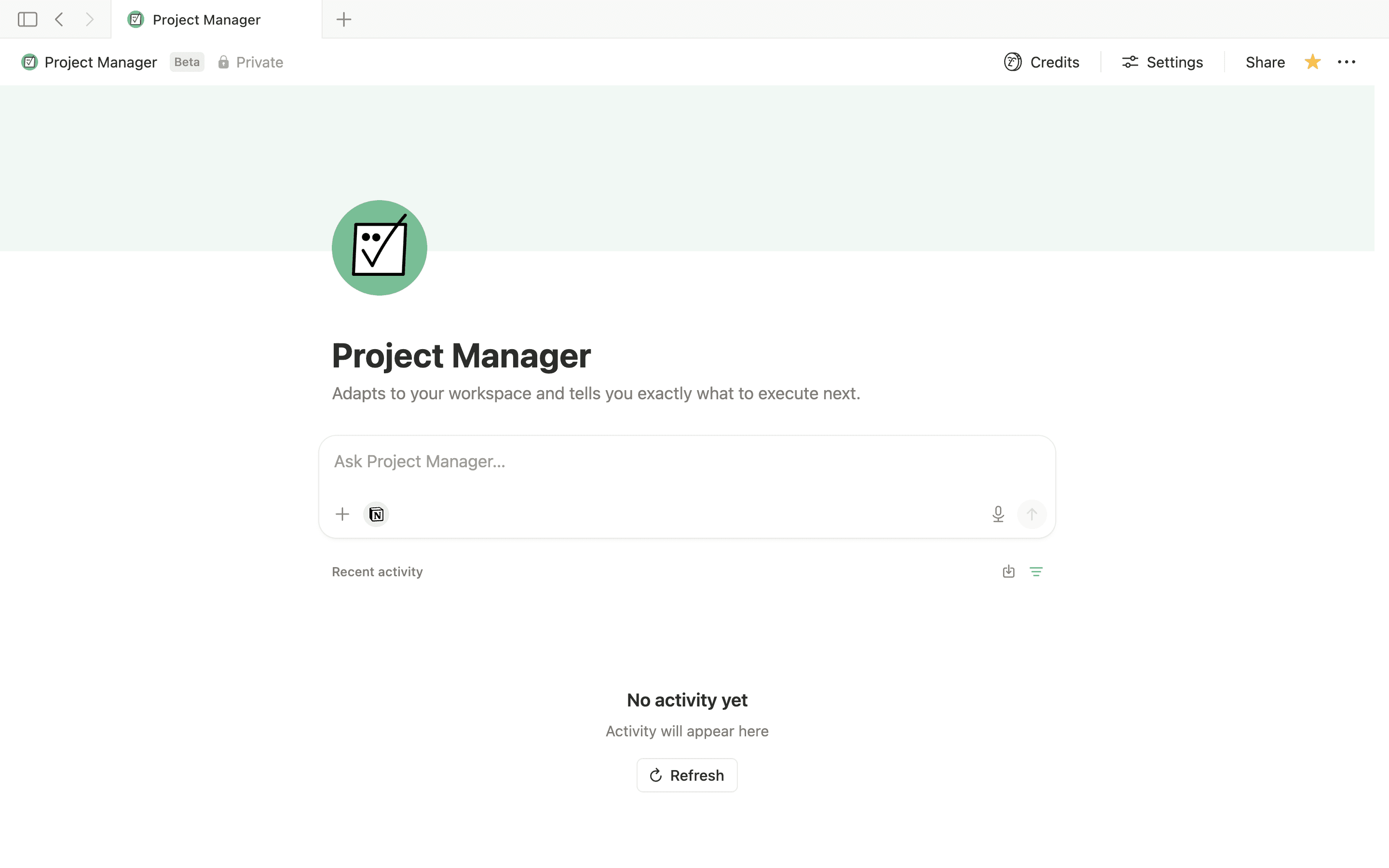 Project Manager