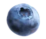 Profilbild von isobel